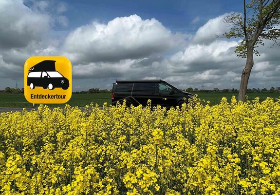 Unterwegs auf den Darßer Landstraßen im Rapsmonat Mai, Foto: maxpress