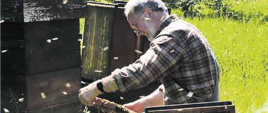 Der Dokumentarfilm „An der Bruchkante – Imker in Mecklenburg“ läuft am 20. Oktober im Kulturforum Schleswig-Holstein-Haus, Foto: Anne Andersen