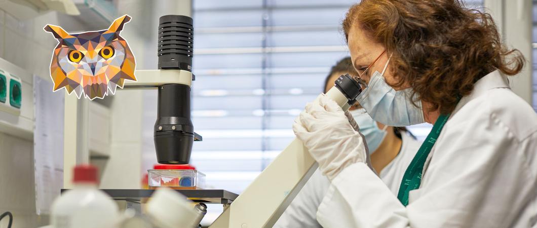Mit gleich fünf Orten bieten die Helios Kliniken Schwerin zur Nacht des Wissens wieder ein volles Programm und spannende Einblicke in die Welt der Medizin. Am 22. Oktober ab 18 Uhr sind die Bereiche des Krankenhauses für angemeldete Besucher geöffnet.