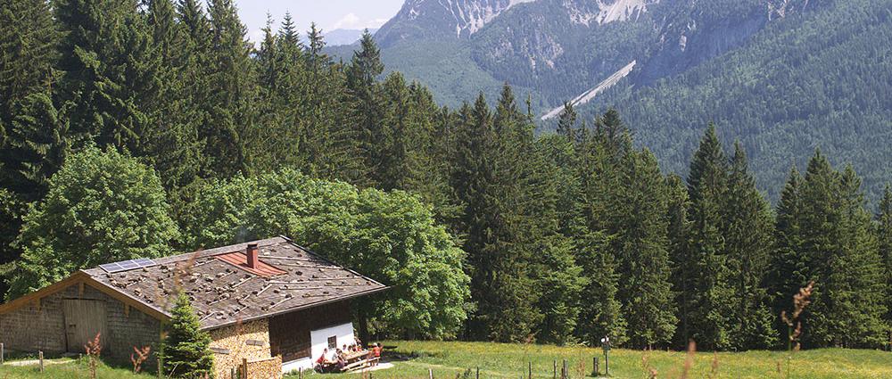 Das Glück liegt so nah: Viele entscheiden sich in diesem Jahr gegen Fernreisen