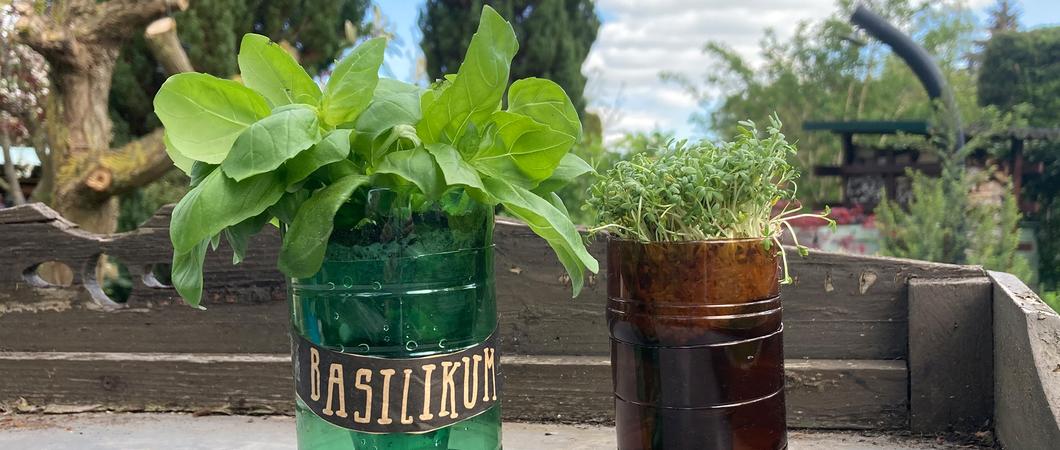 Der Do-it-yourself-Sommertipp vereint einen optischen Hingucker mit angesagtem Upcycling: Alte PET-Flaschen bekommen eine neue Aufgabe als Kräutertöpfe.