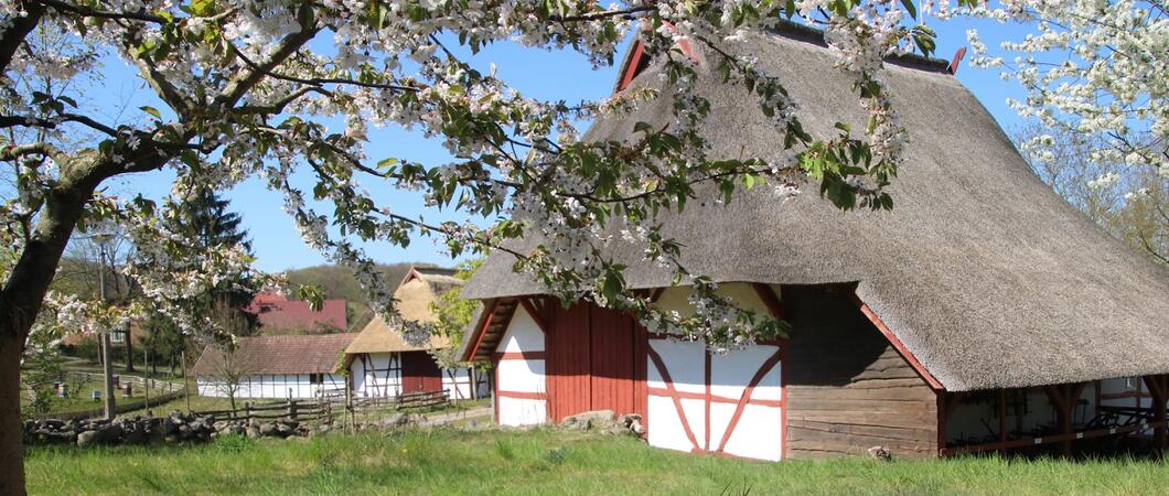 Manche Bräuche und Festivals beruhen auf jahrhundertealte Traditionen, andere sind aus reiner Spielfreude entstanden. Vom 24. bis 26. Mai präsentiert der Heimatverband Mecklenburg-Vorpommern e. V. ein „Festival der Traditionen“