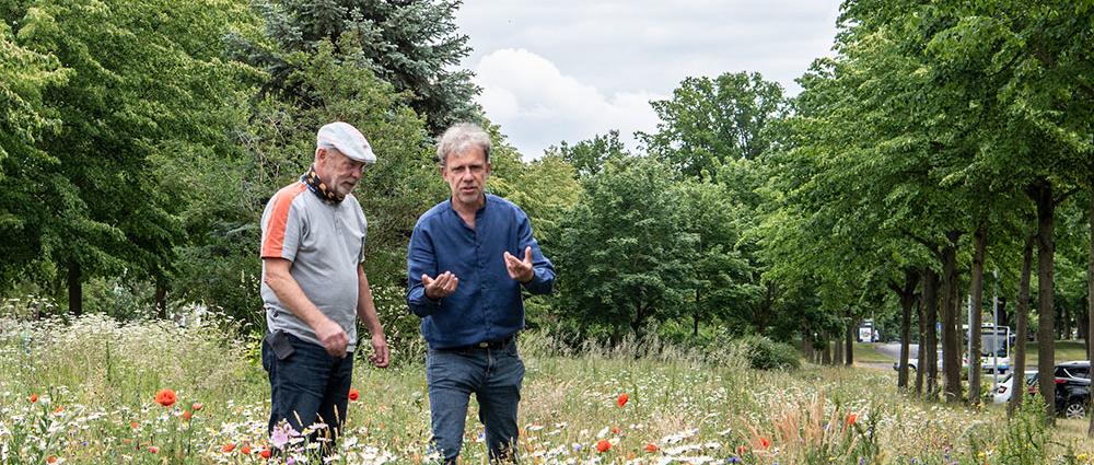 Auf dem Grünstreifen zwischen Hamburger Allee und Ziolkowski- straße summt und brummt es. Es blüht in allen Farben und riecht nach frischen Gräsern und Kräutern.