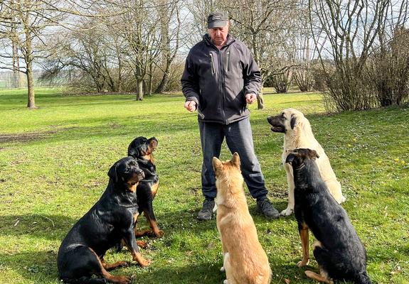 24 Stunden pro Tag an 365 Tagen im Jahr ist das Tierheim für seine Bewohner da, Foto: Tierheim Schwerin