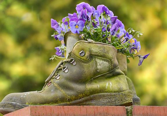 Wer freut sich nicht, wenn sogar bei kühlen Temperaturen die ersten bunten Blumen aus dem Boden sprießen? Viele Mieter sorgen zudem selbst für Farbe und Frische und lassen den Frühling in die eigenen vier Wände einziehen