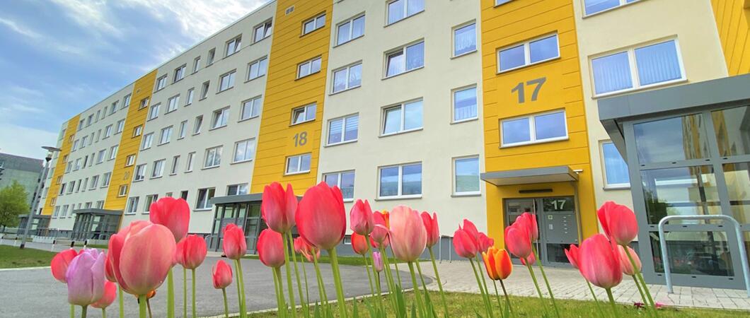 Die Edgar-Bennert-Straße 12-22 kommt seit der Modernisierung 2019 in einem freundlichen Gelb daher, Fotos: WGS