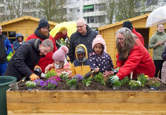 Oberbürgermeister Dr. Rico Badenschier greift zum Spaten, um den mitgebrachten Obstbaum in die Erde zu bringen. Die Kinder der AWO-Kita „Igelkinder“ schauen zu und freuen sich, mit kräftiger Unterstützung aus dem Rathaus, ihr Hochbeet zu bepflanzen.