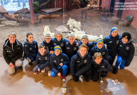 Um den stark gefährdeten Feuersalamander vorm Aussterben zu bewahren, planen wir gemeinsam mit unserem Projektpartner Citizen Conservation eine Zuchtstation im Zoo Schwerin.