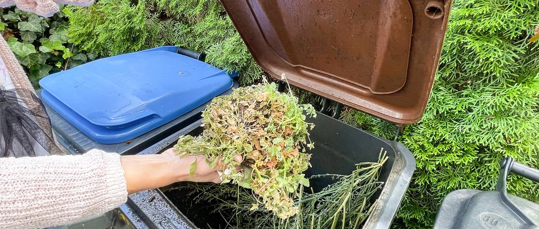 Wer keine Gelegenheit hat, selbst zu kompostieren, kann in der Landeshauptstadt auf die braune Biotonne zurückgreifen. Rund 90 Prozent der Schwerinerinnen und Schweriner nehmen diese Leistung in Anspruch