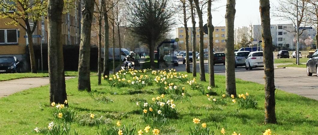 Der Frühling ist für viele Menschen die schönste Jahreszeit. Nach den langen dunklen Wochen mit Niesel, Frost und grauen Wolken sehnen sie sich nach Sonne, Licht und Farbe.