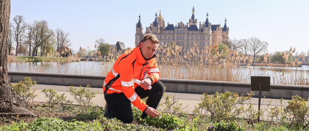Oliver Kuhn (Foto) und sein Team betreuen rund 4.900 Quadratmeter Staudenfläche im Stadtgebiet | Foto: maxpress