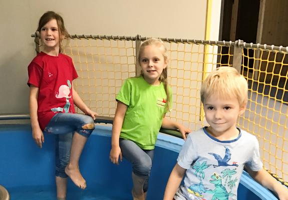 Das helle Gebäude in der Hagenower Straße ist modern und einladend. 30 Krippen- und 72 Kindergartenkinder tummeln sich als „Wirbel- winde“ in den Räumen und dem terrassenförmigen Außenbereich mit Blick auf den Ostorfer See.