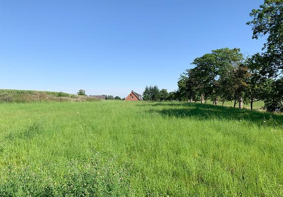 Für die Außenbereichslücke entlang der Grevesmühlender Straße ist ein neues Wohngebiet geplant