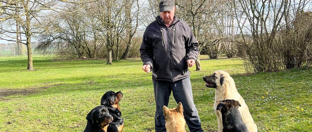 24 Stunden pro Tag an 365 Tagen im Jahr ist das Tierheim für seine Bewohner da, Foto: Tierheim Schwerin