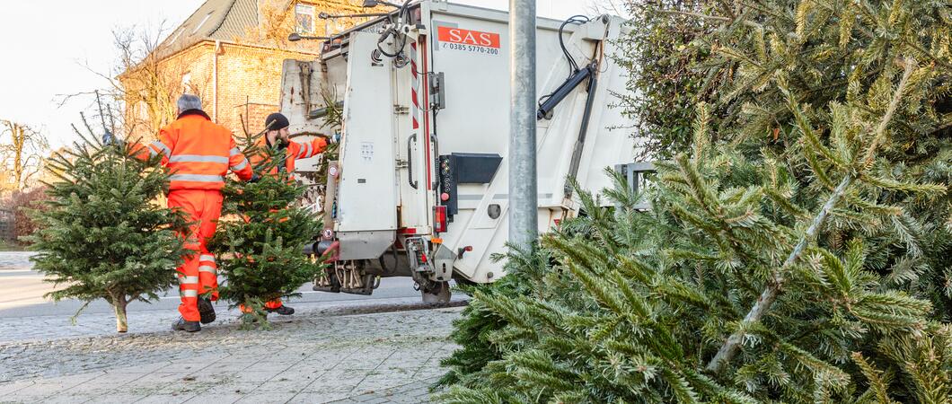 Bitte ausgediente Tannen ohne Lametta und Kugeln nur an den dafür vorgesehenen Stellen ablegen