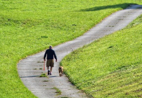 Spender für Hundekotbeutel sind aufgefüllt