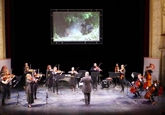 Die Freude beim Jugendsinfonieorchester Schwerin (JSO) ist groß: Die jungen Musikerinnen und Musiker im Alter von 12 bis 18 Jahren haben beim Deutschen Jugendorchesterpreis 2021/22 einen zweiten Preis gewonnen!