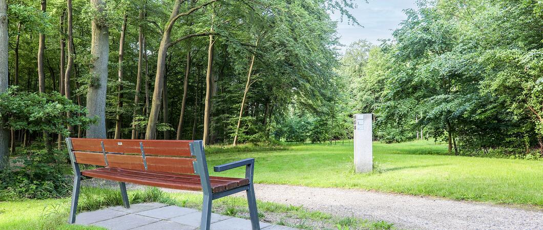 Ruhestätten im Waldesgrund auf dem Waldfriedhof sind durch neue Wege besser erreichbar