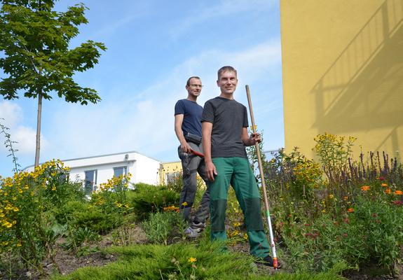 René Freuck konnte seinen ersten Arbeitstag im Kinderzentrum kaum erwarten. Seit dem 1. September ist er als Hausmeisterhelfer zwischen Grünanlagen, Handwerks-Kita und den Gebäuden in der Wismarschen Straße unterwegs. Dass er seinen Traumjob gefunden hat