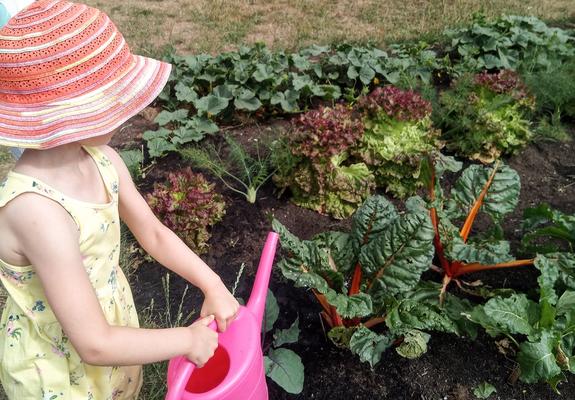 Am Anfang stand die Idee, die Kita-Kinder mit einem „Projekt zum Anfassen“ für einen wertschätzenden Umgang mit der Natur und ihrer Umwelt zu begeistern“, sagt Martina Bräuer, Leiterin der Kindertagesstätte Rasselbande in Sukow.
