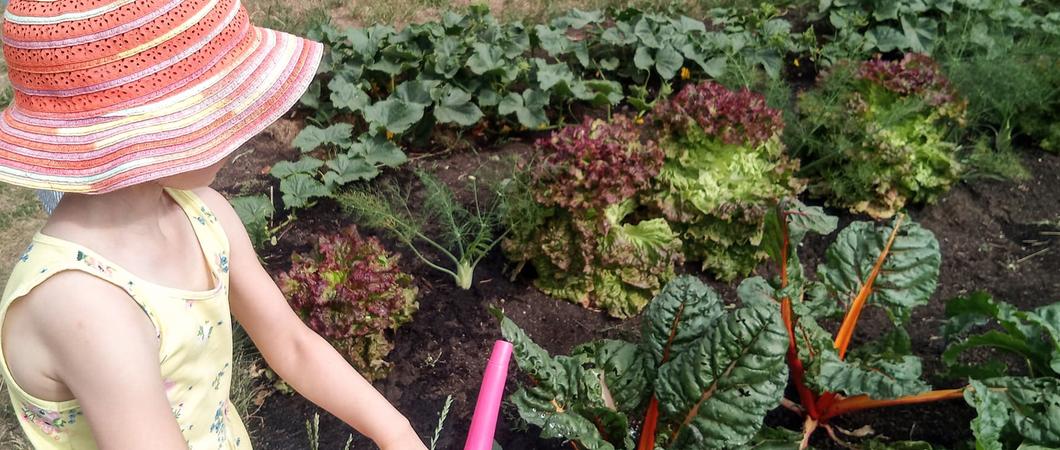 Am Anfang stand die Idee, die Kita-Kinder mit einem „Projekt zum Anfassen“ für einen wertschätzenden Umgang mit der Natur und ihrer Umwelt zu begeistern“, sagt Martina Bräuer, Leiterin der Kindertagesstätte Rasselbande in Sukow.