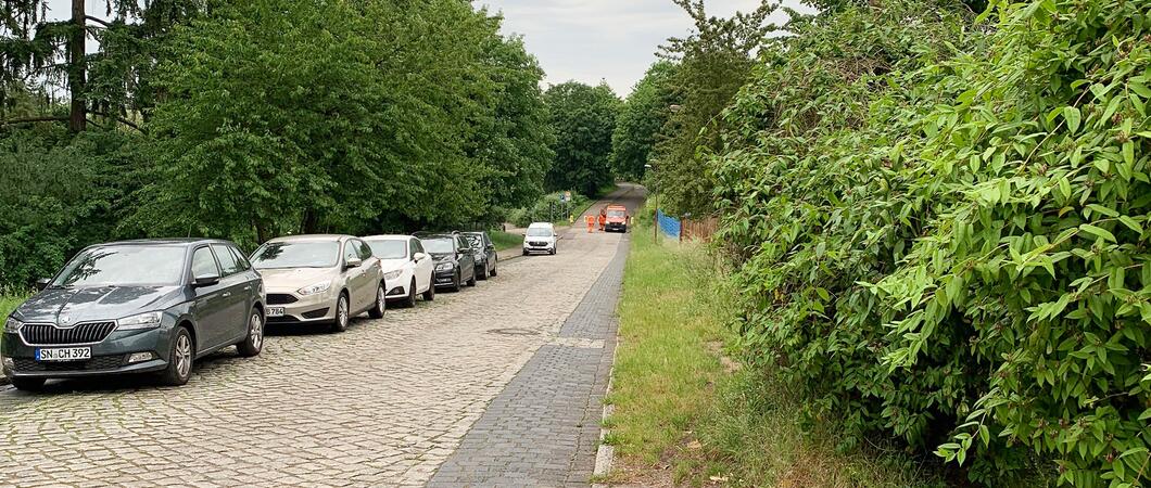 Für den Bau der Radsporthalle am Sportinternat muss die sportliche Nutzung des Stadions Lambrechtsgrund wohl erstmal weichen.