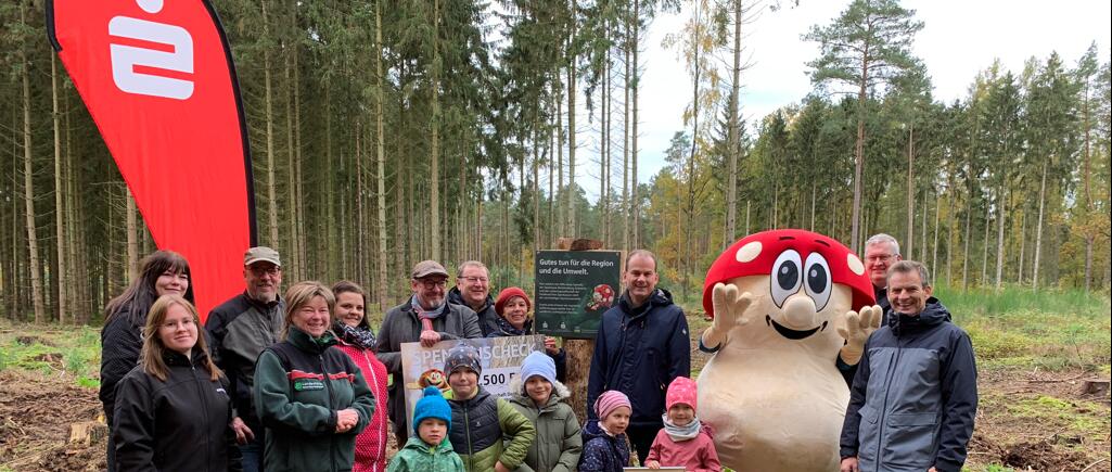 Der erste Spatenstich für das Wiederaufforstungsprojekt mit 1.500 jungen Bäumen in einem Waldgebiet in Domsühl erfolgte am 7. November durch die Sparkasse Mecklenburg-Schwerin gemeinsam mit der Lotteriegesellschaft der Ostdeutschen Sparkassen mbH