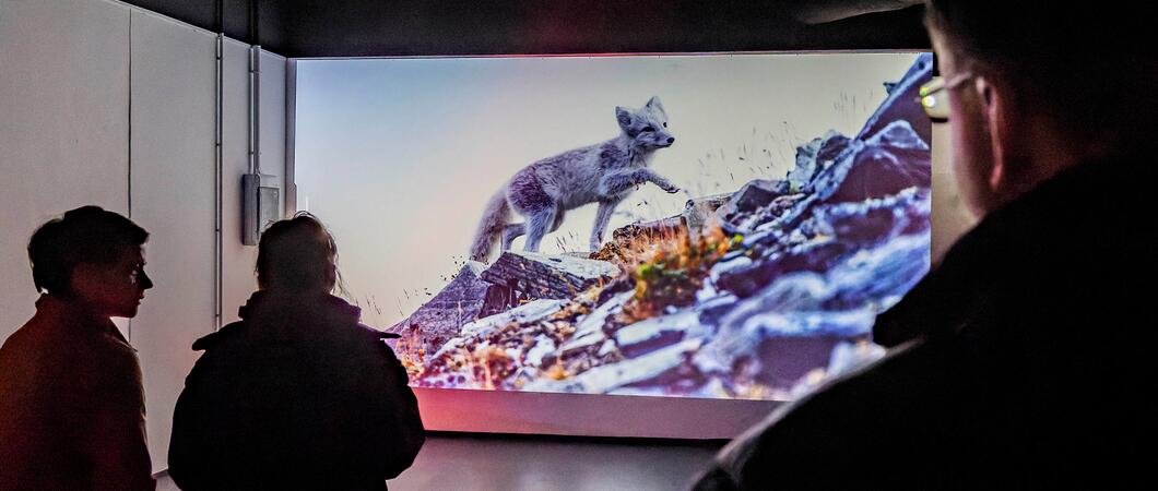 Die Fotoprojektionen „Fragmente“ sind vom 20. bis 28. Oktober abneds in den Schweriner Höfen zu sehen, Foto: AUSLÖSER