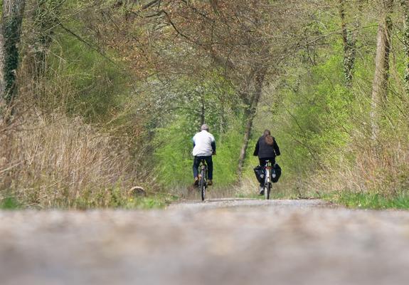 Die Landeshauptstadt möchte den Radtourismus in Schwerin ausbauen und für den Städtetourismus nutzen