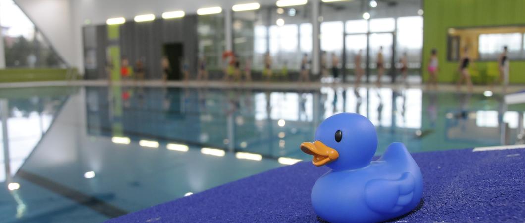 Bahnen ziehen in der Schwimmhalle ist in den Weihnachtsferien zu gesonderten Zeiten möglich