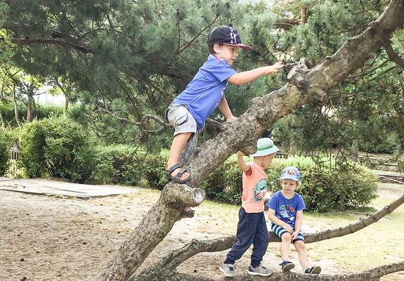Wer das Gelände der Kita „Sonnenschein“ betritt, findet eine große Freifläche mit viel Grün und einladenden Bewegungs- und Spielelementen vor. Im Inneren können sich die 64 Krippenkinder und 116 Kindergarten-Kids in großzügigen Funktionsräumen austoben.