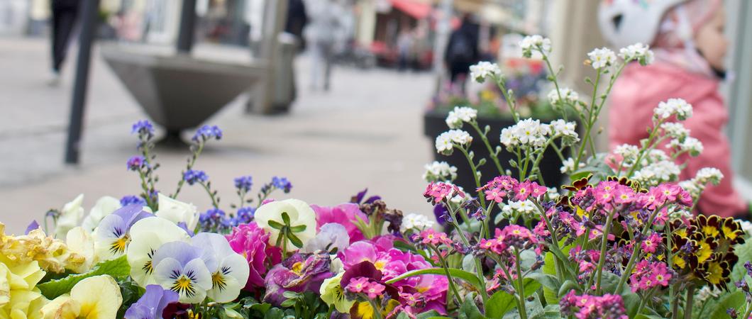 Seit April ist die Schweriner Innenstadt wieder farbiger.