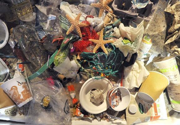 In der Volkshochschule wird am 5. März um 18.45 Uhr in der Puschkinstraße 13 die Ausstellung „Mensch – Müll – Meer“ eröffnet, die den Auftakt für verschiedene Veranstaltungen der Volkshochschule zum Jahresschwerpunkt „Perspektive Europa“ bildet