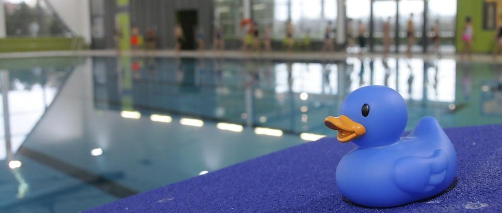 Die Schwimmhalle auf dem Großen Dreesch hat in der Herbstferien zu geänderten Zeiten geöffnet, Foto: Hans-Dieter Hentschel
