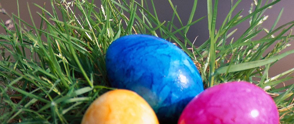 Die Stadtwerke Schwerin wünschen frohe Ostern