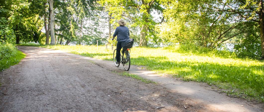 Der SDS-Stadtwirtschaftliche Dienstleistungen Schwerin führt im Oktober bis voraussichtlich 30. November Maßnahmen zur Umgestaltung des Radweges am Faulen See durch.