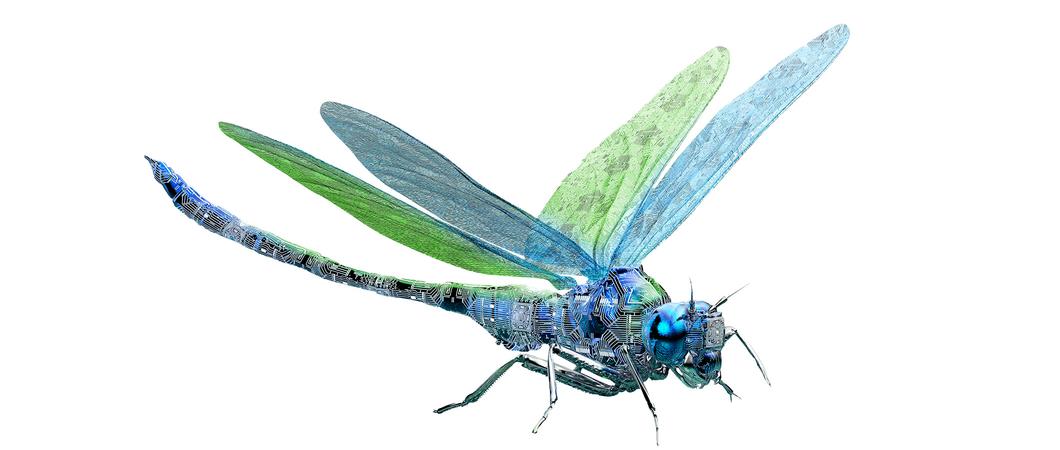 Symbolisch gesehen soll das Jahr 2023 das Jahr der Hoffnung werden – begleitet vom chinesischen Tierkreiszeichen des Wasserhasens, welcher Langlebigkeit und Frieden mit sich bringt.