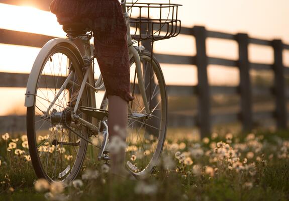 Der ADFC bietet im Sommer viele Fahrradtouren an, Foto: Pexels/Sebastian Arie Voortman