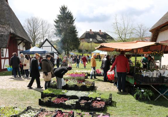 Der Frühling zeigt sich im Mueßer Freilichtmuseum alle Jahre wieder von seiner schönsten Seite. Obstbäume und Blumen blühen.