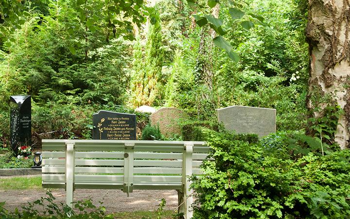 Schwerin-Alter-Friedhof-Bank c maxpress content 1