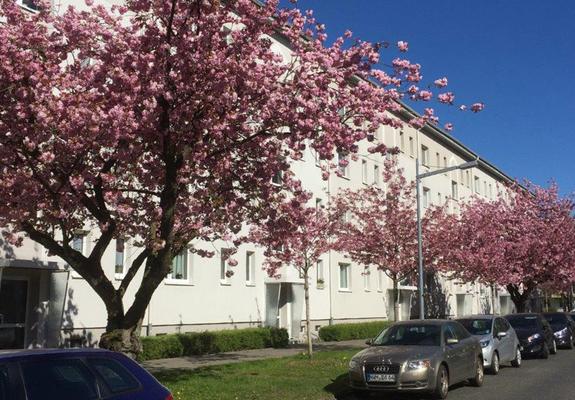 Zuhause ist es doch am schönsten – so spricht manch einer, wenn das Verreisen nicht möglich ist und die eigenen vier Wände umso wichtiger werden.