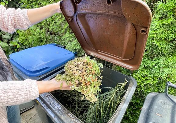 Wer keine Gelegenheit hat, selbst zu kompostieren, kann in der Landeshauptstadt auf die braune Biotonne zurückgreifen. Rund 90 Prozent der Schwerinerinnen und Schweriner nehmen diese Leistung in Anspruch