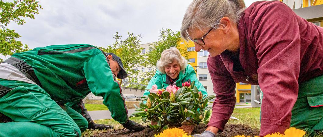 „Die Beete neben den Hauseingängen bieten sich ja förmlich für eine schöne Bepflanzung an“, sagte Christel Steiner und griff sofort zu einer leuchtend gelben Studentenblume. Diese fand schnell ein neues Zuhause in der frisch aufbereiteten Erde.