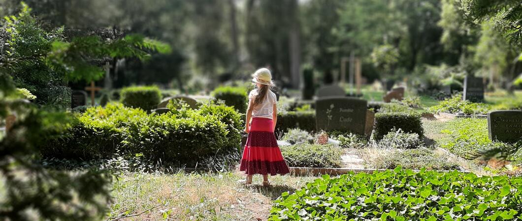 Nach dem Erfolg des Wettbewerbes aus dem vergangenen Jahr, ruft der Eigenbetrieb SDS – Stadtwirtschaftliche Dienstleistungen erneut auf, den Friedhof mit der Kamera oder dem Smartphone zu entdecken