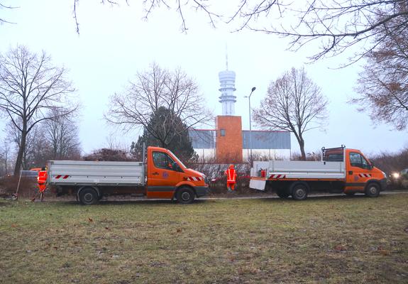 Es ist gerade hell geworden  an diesem frostfreien Tag. Eine Gruppe  orange gekleideter Beschäftigter des SDS Öffentliches Grün sägt, schneidet und harkt an der mit Hecken gesäumten Plater Straße.