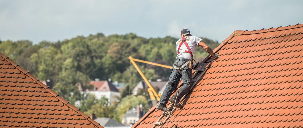 Bei den Mitarbeitern der Abteilung Bauunterhaltung des ZGM herrscht Hochkonjunktur im Sommer, Fotos: Pixabay, ZGM