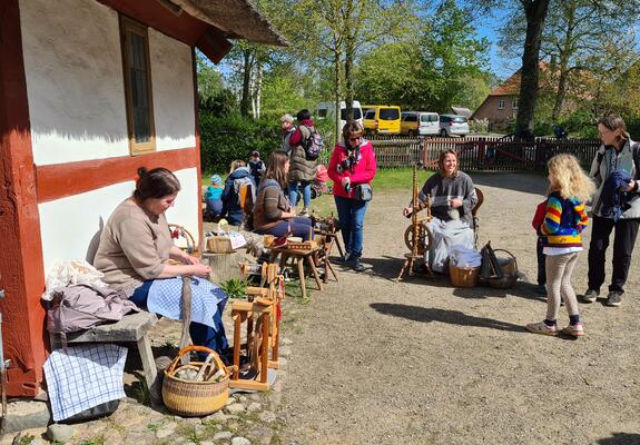 Endlich stehen auch mal die Schafe des Mueßer Museumsdorfes im Mittelpunkt. Am ersten Mittwoch in den Ferien, am 24. Juli, machen Museumsmitarbeiter abwechslungsreiche Angebote zur Wollverarbeitung.