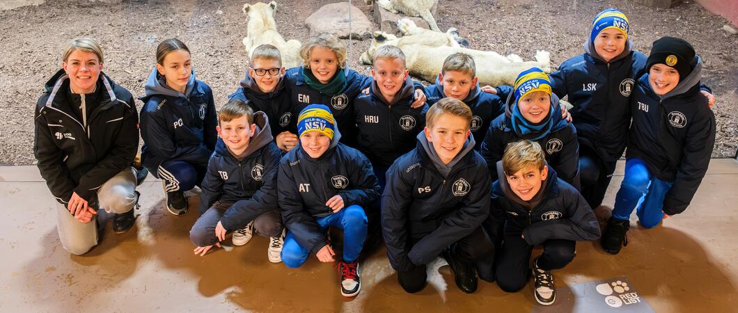 Um den stark gefährdeten Feuersalamander vorm Aussterben zu bewahren, planen wir gemeinsam mit unserem Projektpartner Citizen Conservation eine Zuchtstation im Zoo Schwerin.