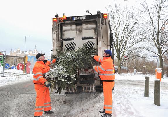 SAS-Mitarbeiter holen die ausgedienten Weihnachtsbäume von den Sammelstellen im gesamten Stadtgebiet ab