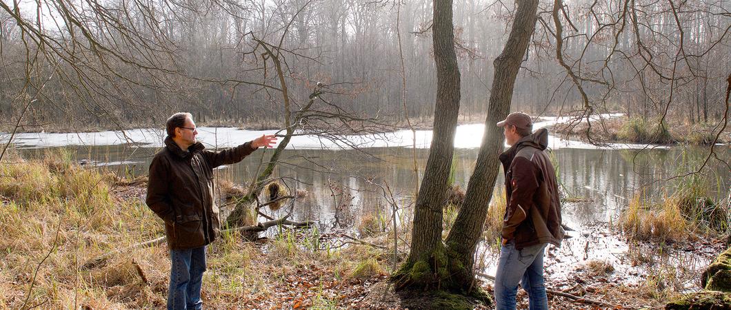 Wer in Schwerin wohnt, hat Wald und Wiese quasi vor der Haustür. Mit seinen etlichen Ökosystemen ist die Stadt auch für seltene Tier- und Pflanzenarten ein echtes Paradies.